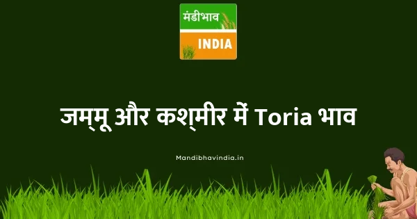 Toria भाव